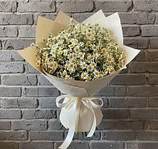 Букет цветов из:  Ромашки #REPLACE_PRED# Кочубеевском