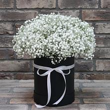 Цветочная композиция из Гипсофила в шляпной коробке #REPLACE_PRED# Кочубеевском