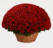 Премиум букет из: Розы в Кочубеевском